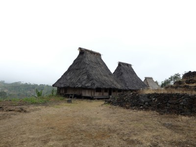 Wologai