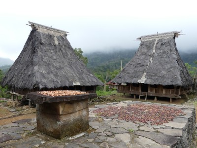 Wologai