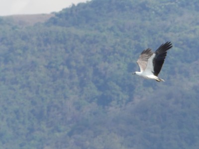 P1220157