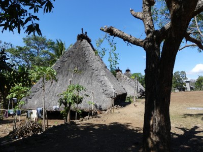 P1220224