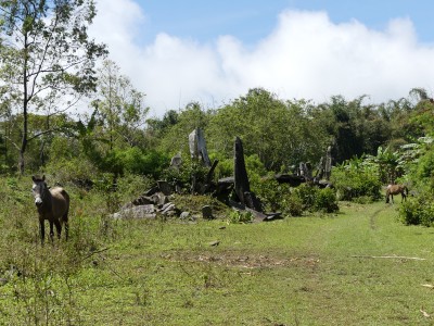 Mégalithe de l'île de Flores à Naru