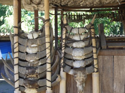 Village traditionnel de Ngada