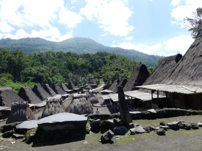 Village traditionnel de Ngada