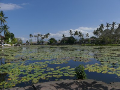 P1230533