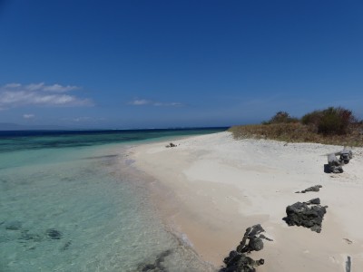 P1230677