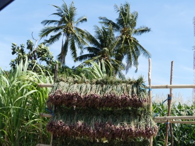 P1230884