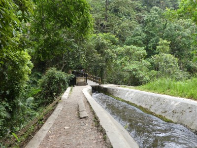 P1230982