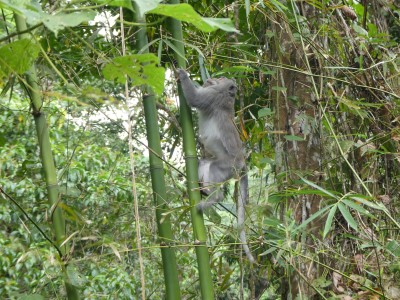 P1240099
