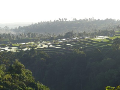 P1240285