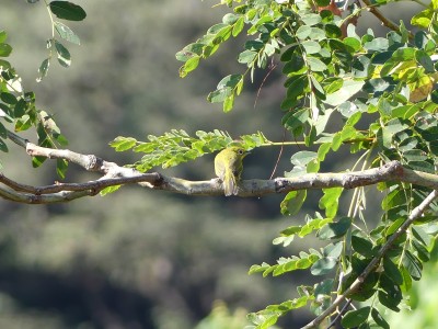 P1240317