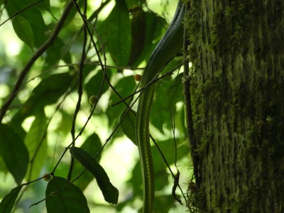 P1240433