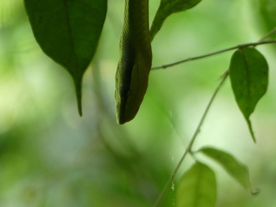 P1240446