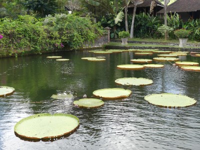Tirta Gangga