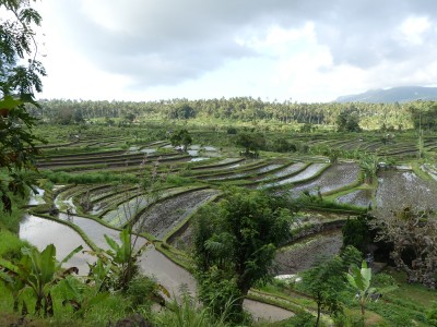 P1250368
