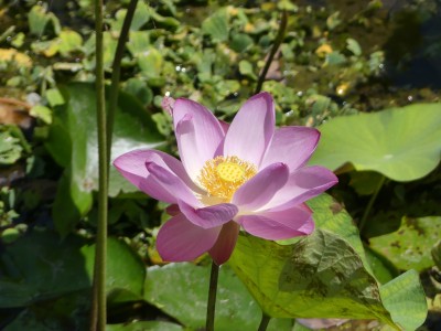 P1250652
