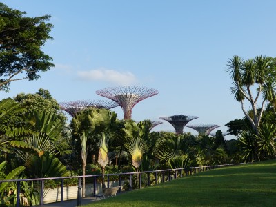 Supertree Grove