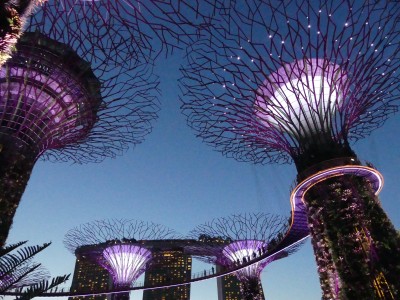 Supertree Grove