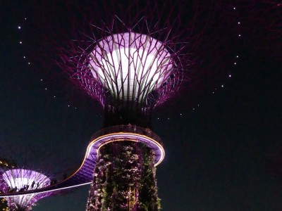 Supertree Grove