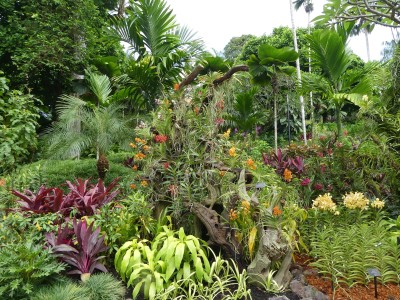 P1260251