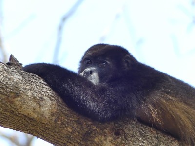 P1290393