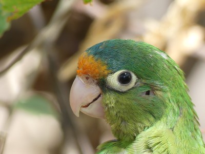 P1290431
