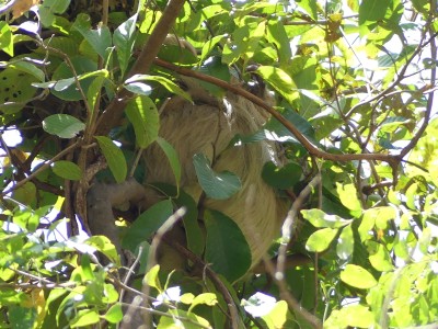 P1290644