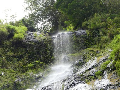P1290878