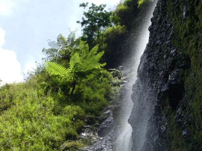 P1290890