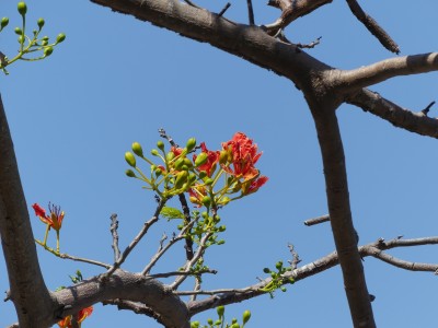 P1290931