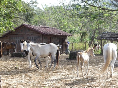 P1300205