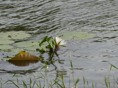 P1300891