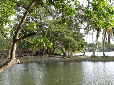 P1300893