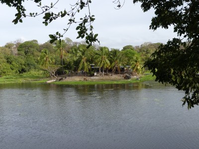 P1300896