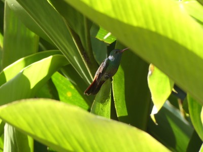 P1300923