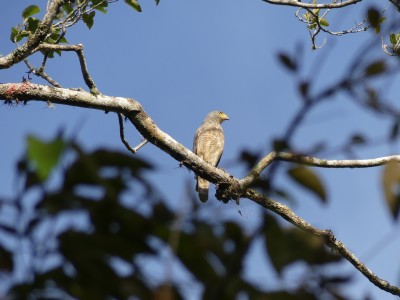 P1300948