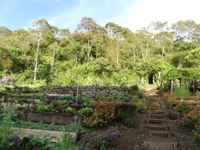 P1300969