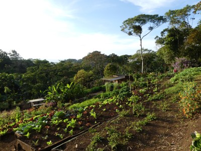 P1300972