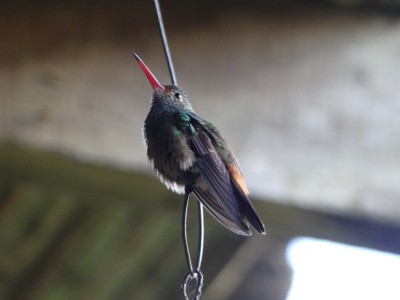 P1310013
