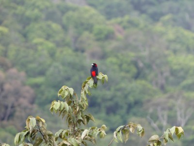 P1310183