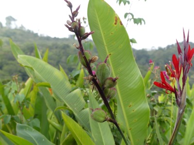 P1310203