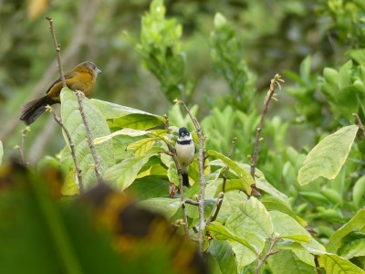 P1310220