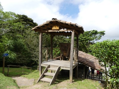P1310251