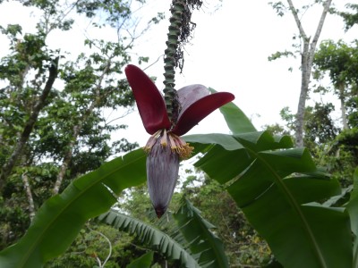 P1310252