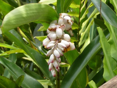 P1310319
