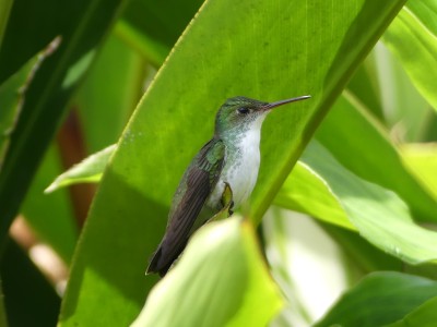 P1310338