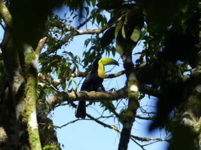 P1310687
