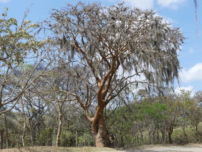 P1310710