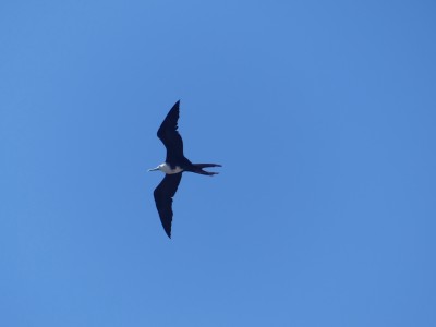 P1310911