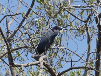 P1310947