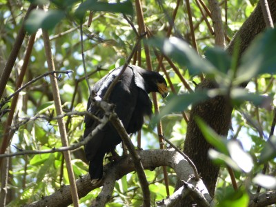 P1320051